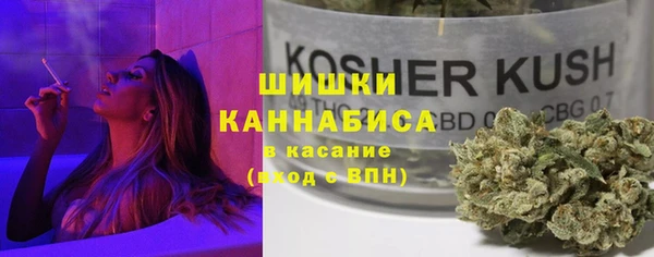прущие грибы Саяногорск