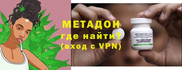 прущие грибы Саяногорск
