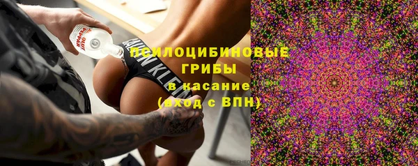 бошки Сафоново