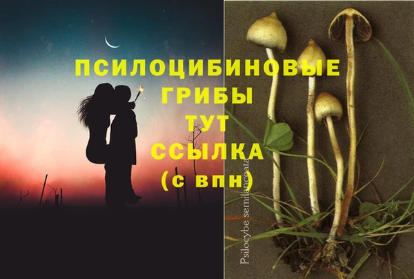 бошки Сафоново
